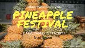 Pineapple Festival Daet, Philippines