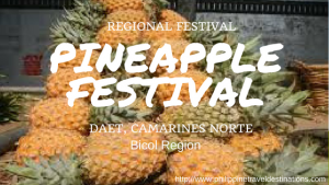 Pineapple Festival Daet Philippines